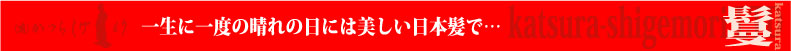 かつらしげもりメニュー